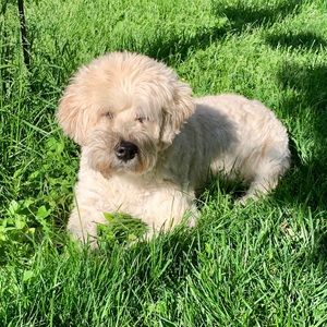 Meet your Posher, Eileen